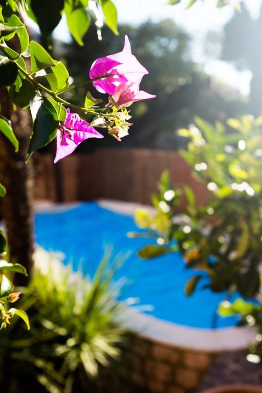 Villa Fiore Torbole Sul Garda Екстер'єр фото
